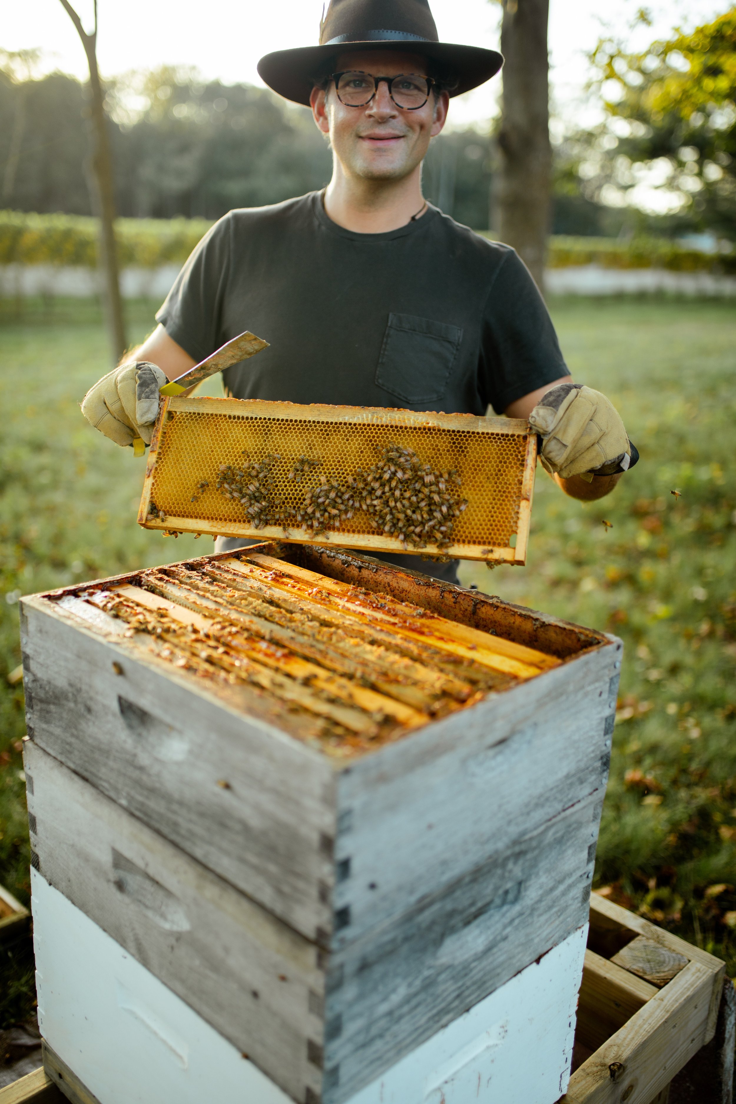 8 OZ RAW HONEY — Old Sound